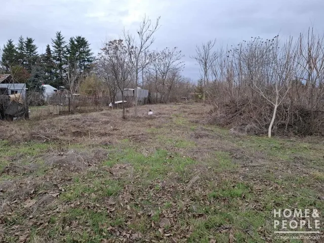 Eladó telek Szeged, Kiskundorozsma 858 nm