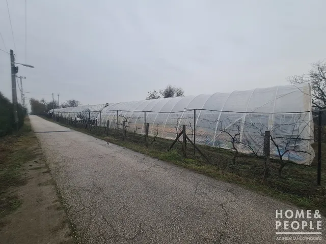 Eladó telek Hódmezővásárhely 1954 nm