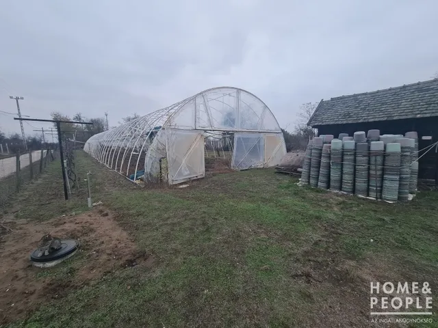 Eladó telek Hódmezővásárhely 1954 nm