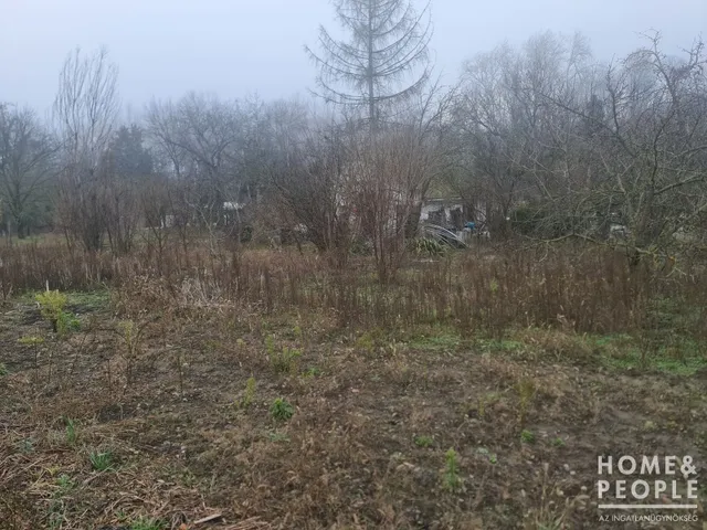 Eladó telek Hódmezővásárhely 77 nm