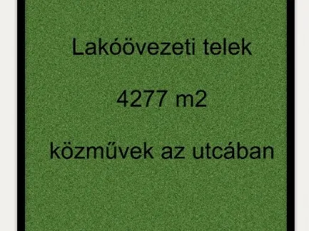 Eladó telek Kövegy 4277 nm
