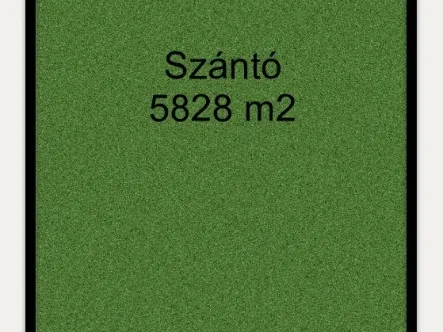 Eladó mezőgazdasági ingatlan Csanytelek 5828 nm