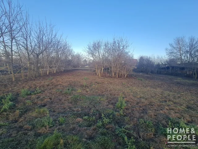 Eladó telek Hódmezővásárhely 1100 nm