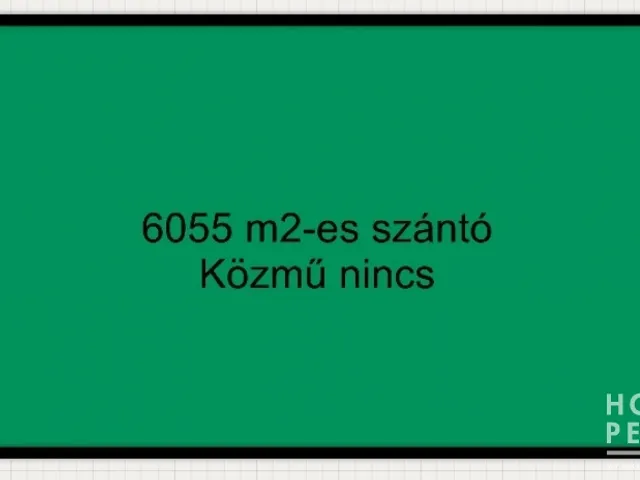 Eladó mezőgazdasági ingatlan Balástya 6055 nm