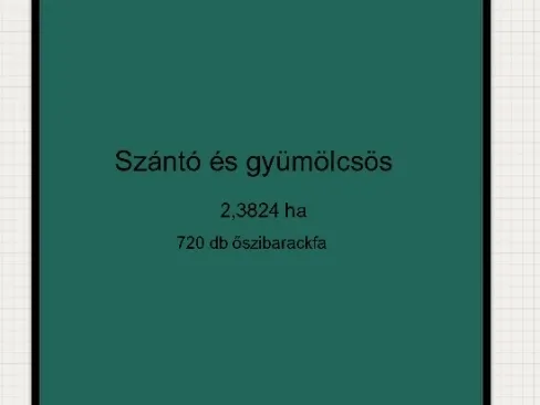 Eladó mezőgazdasági ingatlan Zákányszék 23824 nm