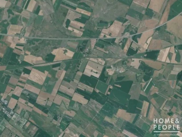 Eladó mezőgazdasági ingatlan Cegléd 14560 nm