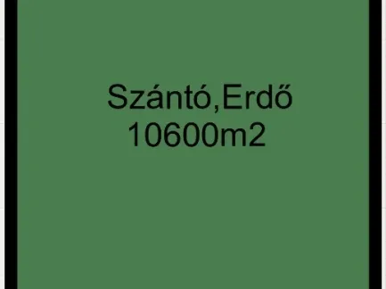 Eladó mezőgazdasági ingatlan Kistelek 10600 nm