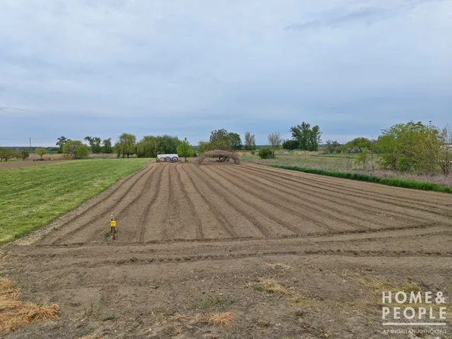Eladó telek Szeged 3332 nm
