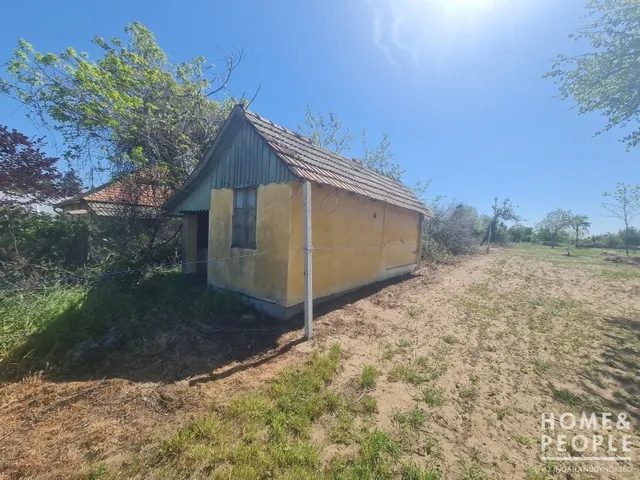 Eladó mezőgazdasági ingatlan Hódmezővásárhely 2127 nm