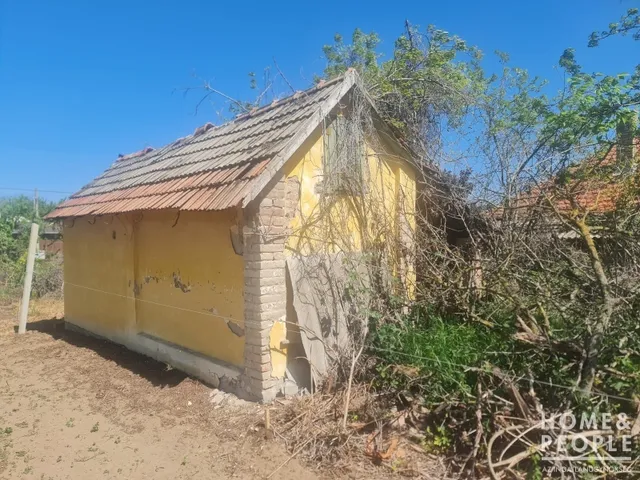 Eladó mezőgazdasági ingatlan Hódmezővásárhely 2127 nm
