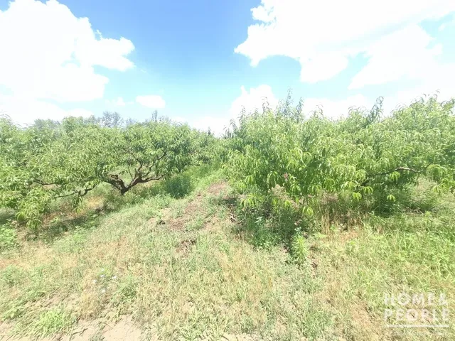 Eladó ház Szatymaz 120 nm