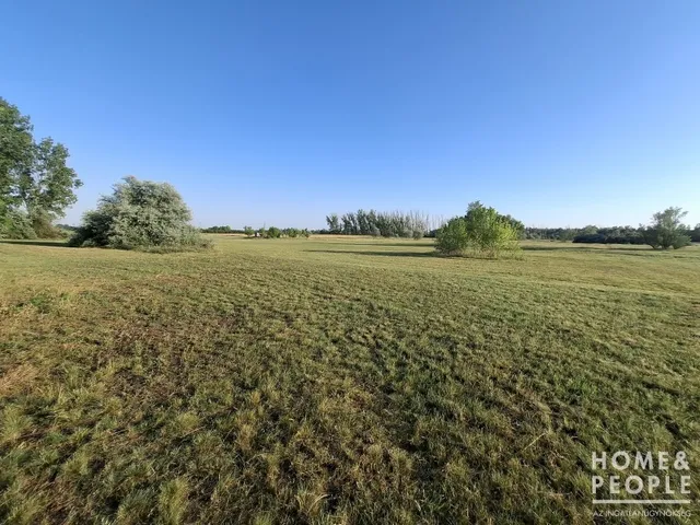 Eladó mezőgazdasági ingatlan Szatymaz 42457 nm