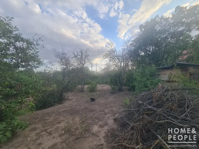 Eladó mezőgazdasági ingatlan Szeged, Baktó 730 nm