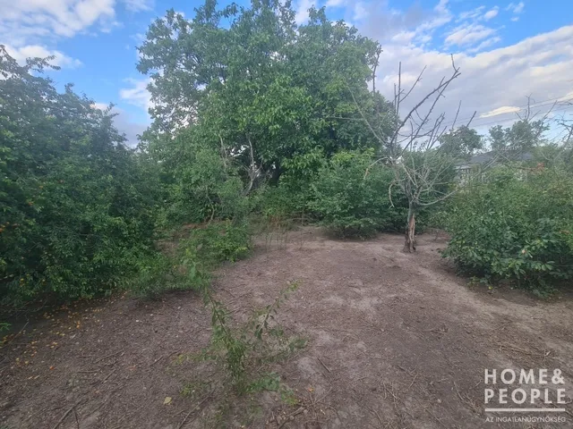 Eladó mezőgazdasági ingatlan Szeged, Baktó 730 nm