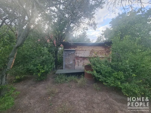 Eladó mezőgazdasági ingatlan Szeged, Baktó 730 nm
