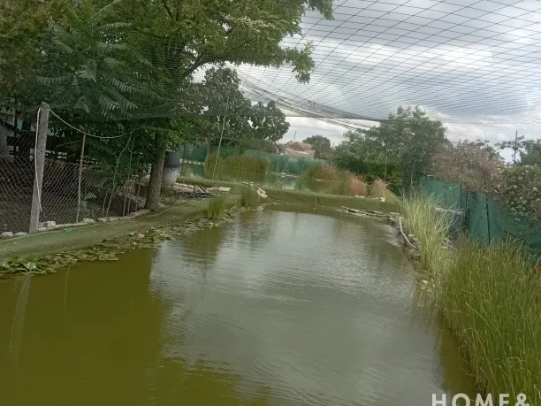 Eladó ház Kübekháza 80 nm