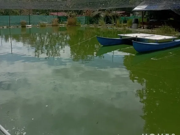 Eladó ház Kübekháza 80 nm