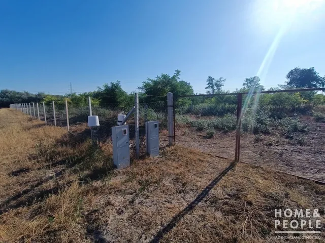 Eladó mezőgazdasági ingatlan Sándorfalva 4869 nm