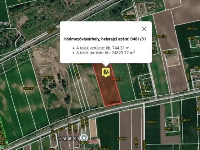 Eladó mezőgazdasági ingatlan Hódmezővásárhely 24823 nm