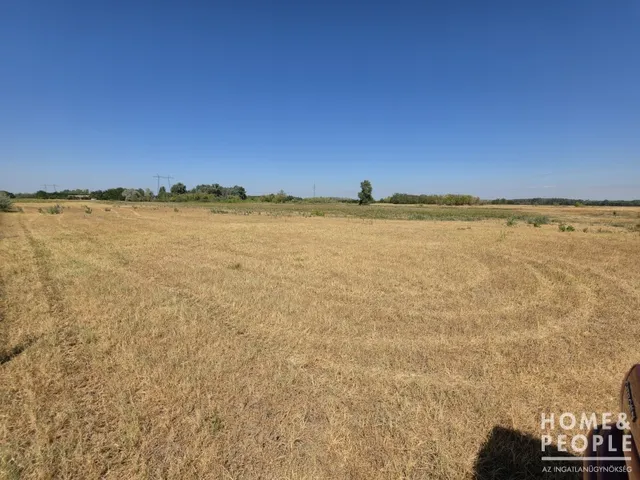 Eladó mezőgazdasági ingatlan Pusztamérges 40000 nm