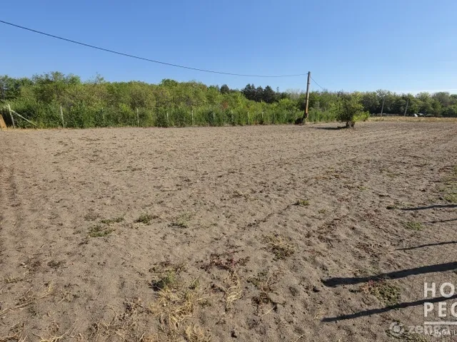 Eladó telek Ásotthalom 1600 nm
