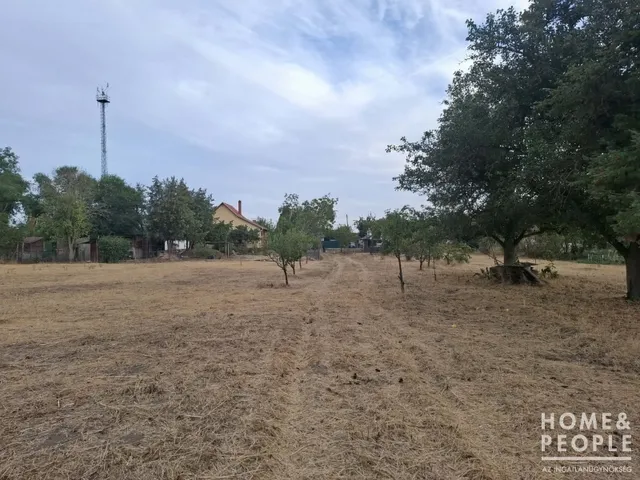 Eladó telek Hódmezővásárhely 2786 nm