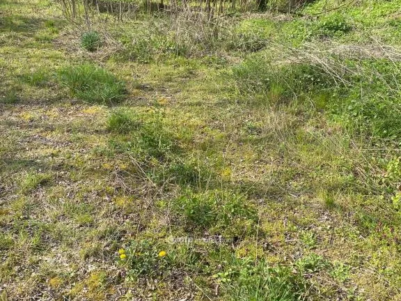Eladó telek Zalabér 4973 nm