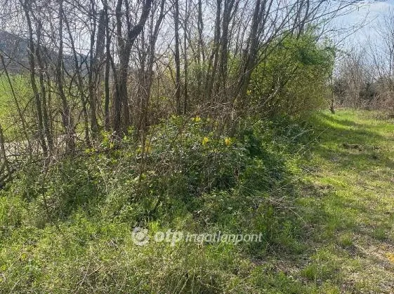Eladó telek Zalabér 4973 nm