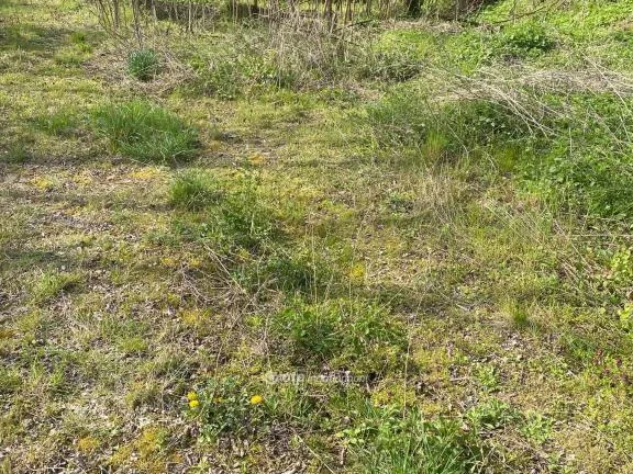 Eladó telek Zalabér 4973 nm