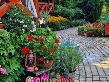 Eladó ház Felsőpáhok 380 nm