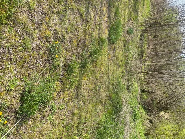 Eladó telek Zalabér 4973 nm