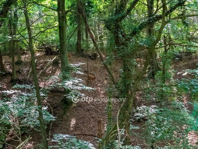 Eladó üdülő és hétvégi ház Nemesbük 35 nm