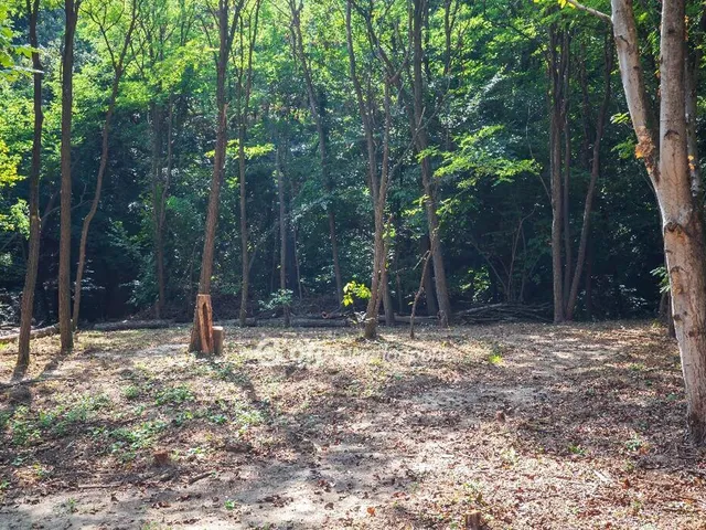 Eladó üdülő és hétvégi ház Nemesbük 35 nm