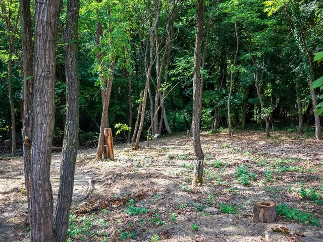 Eladó üdülő és hétvégi ház Nemesbük 35 nm