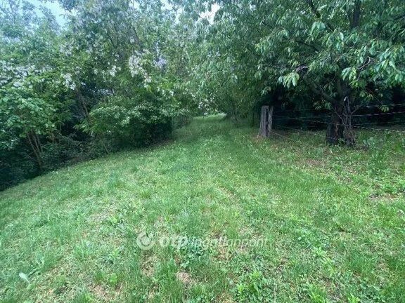 Eladó telek Zalaegerszeg 2317 nm