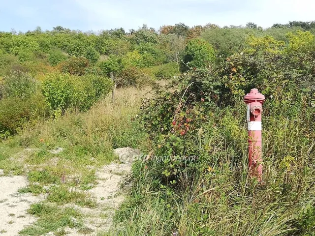 Eladó telek Cserszegtomaj 4991 nm