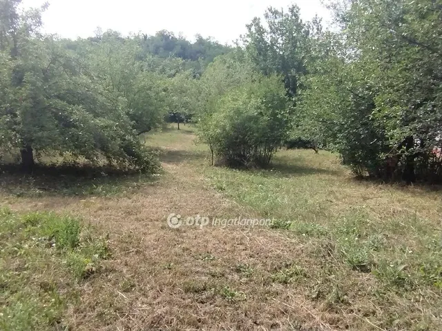 Eladó telek Zalaszentgrót 2899 nm