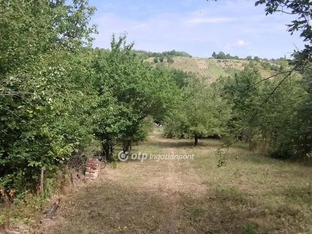 Eladó telek Zalaszentgrót 2899 nm
