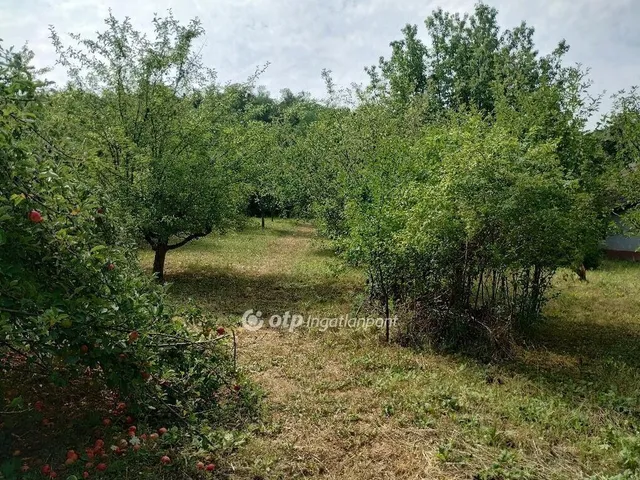Eladó telek Zalaszentgrót 2899 nm