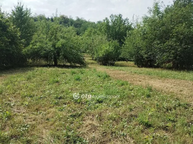Eladó telek Zalaszentgrót 2899 nm