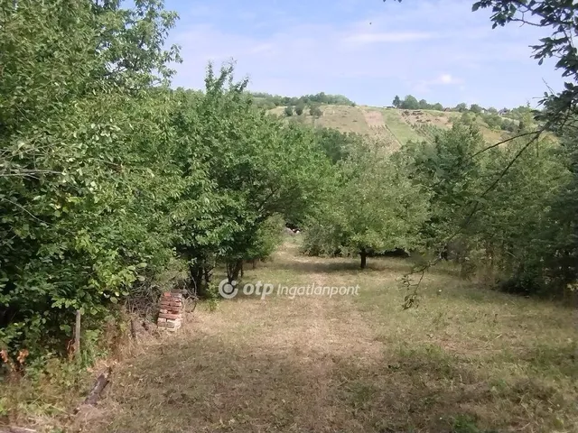 Eladó telek Zalaszentgrót 2899 nm
