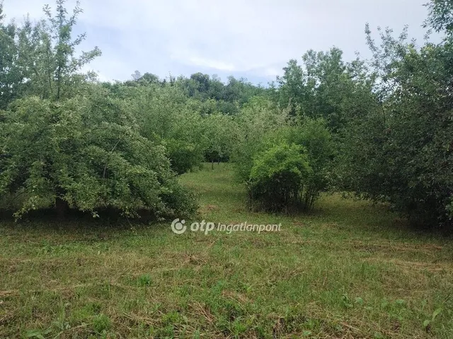 Eladó telek Zalaszentgrót 2899 nm
