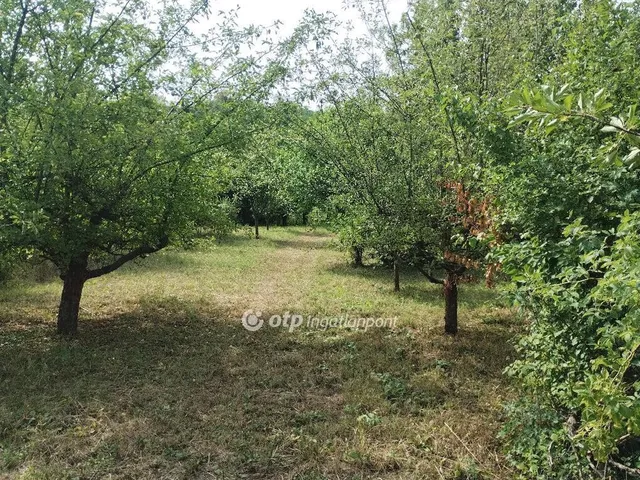 Eladó telek Zalaszentgrót 2899 nm
