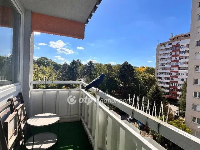 Eladó lakás Zalaegerszeg 56 nm
