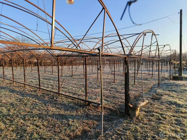 Eladó telek Békés, Szécsénykert 6000 nm