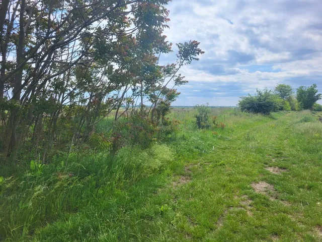 Eladó mezőgazdasági ingatlan Pilis 53533 nm