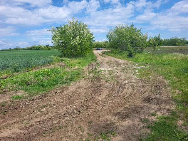 Eladó mezőgazdasági ingatlan Pilis 53533 nm