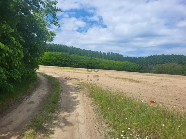 Eladó mezőgazdasági ingatlan Pilis 6623 nm