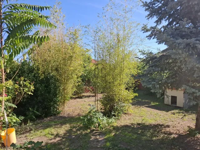 Eladó ház Albertirsa 47 nm