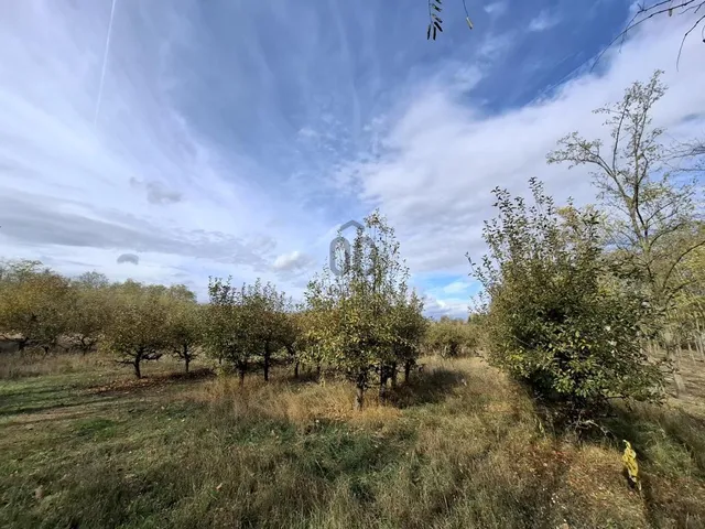 Eladó telek Dánszentmiklós 4061 nm